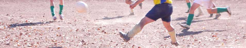 slideshow 5